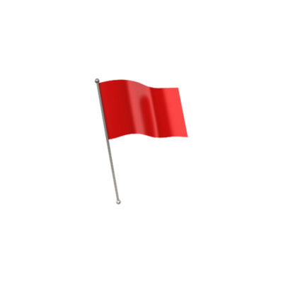 COMPLETE RED FLAG WITH HANDLE