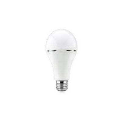 LED LIGHT BULB